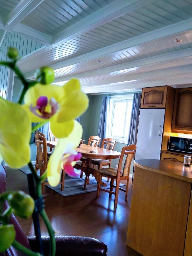 Banpim Beachside Lofoten Ramberg Eksteriør bilde