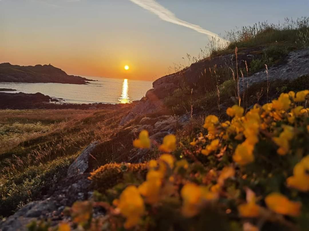 Banpim Beachside Lofoten Ramberg Eksteriør bilde